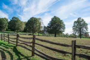 "cow pasture - Mt Vernon - 2014-10-20" by Tim Evanson is licensed under CC BY-SA 2.0