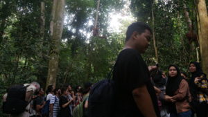 A crowd of tourists on an orangutan viewing trek during high season. Image by Nayla Azmi.