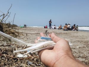 beach-cleaning by removing plastic