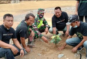 community planted tree together
