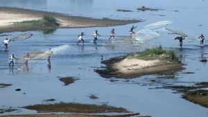 Community fishing in river Silabati. Photo: Sugato Mukherjee