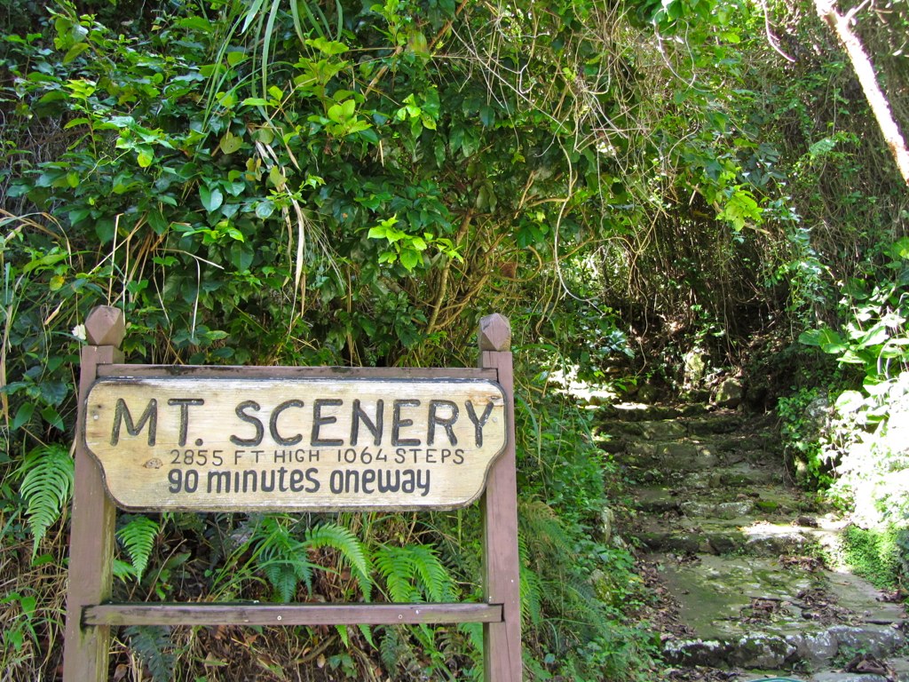 "Mount Scenery Hiking Trail Beginning" by puroticorico is licensed under CC BY-SA 2.0 