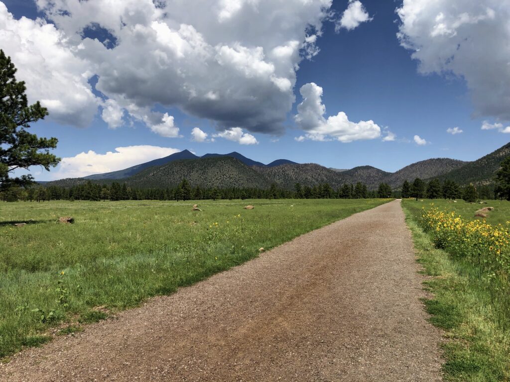 A stunning view of the San Francisco Peaks