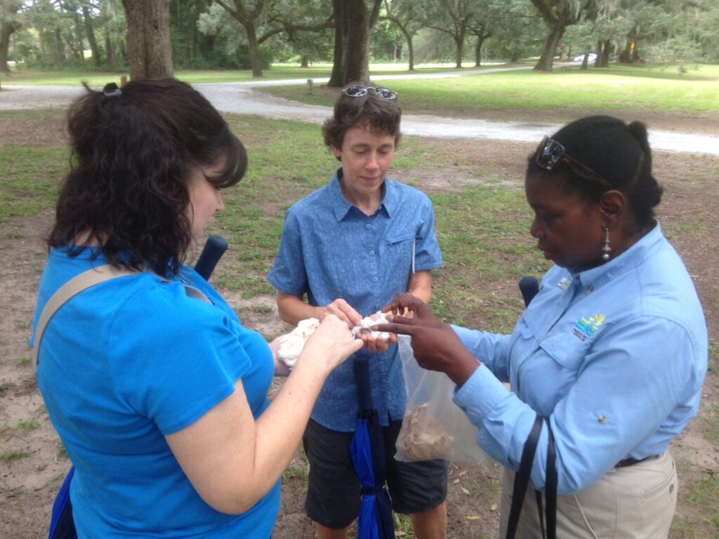 Tour guide showing cotton to visitors at the McLeod Plantation. Photo courtesy of McLeod Plantation Historical Site