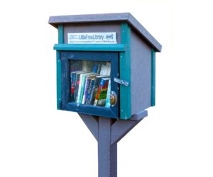 little-library-