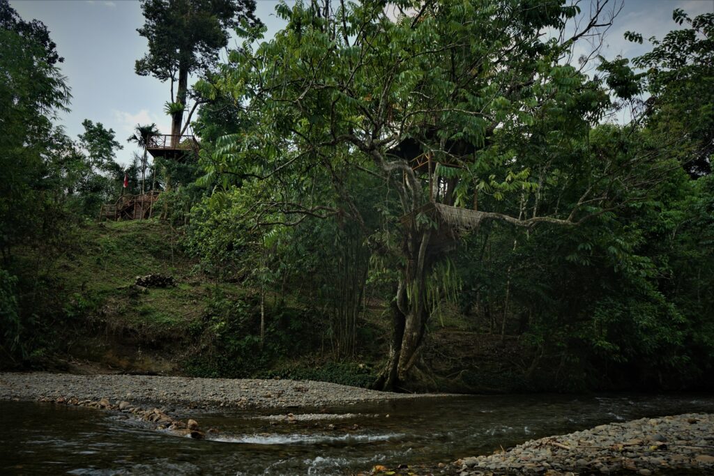 Ranto Panjang Eco Retreat - Leuser Ecosystem. Photo: Nayla Azmi