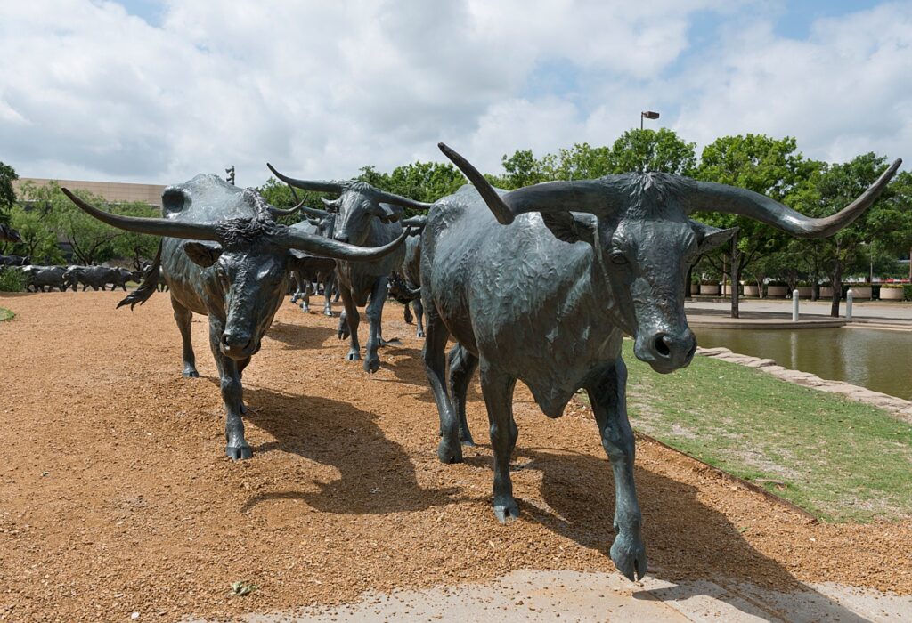 Bronze steers in Dallas park