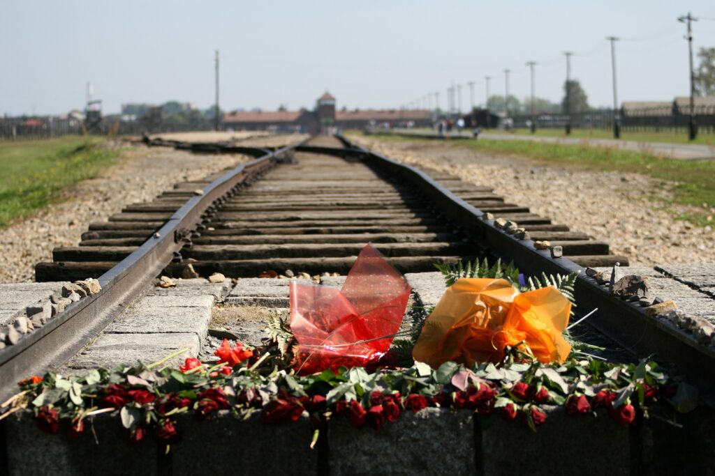 flowers on tracks