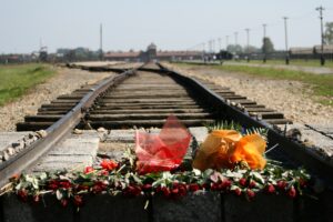 auschwitz-birkenau-flowers on tracks