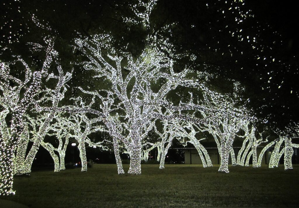Kwanzaa - Christmas lights in Texas