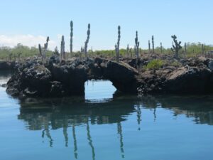 lava-tunnel-galapagos