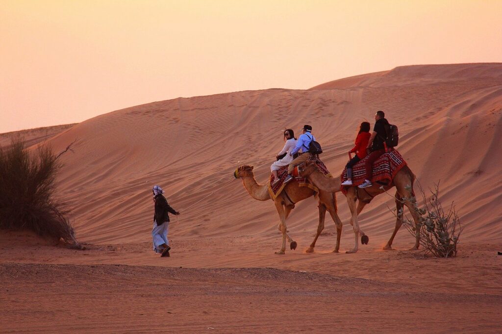 Desert safari in Dubai on camel