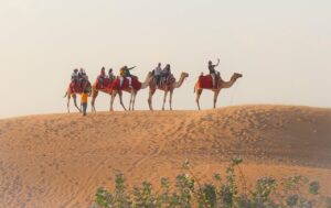 Dubai desert by camel