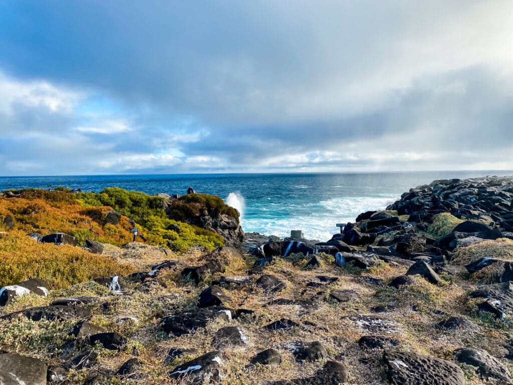 Galapagos coastline. Photo: Jennifer Zollo