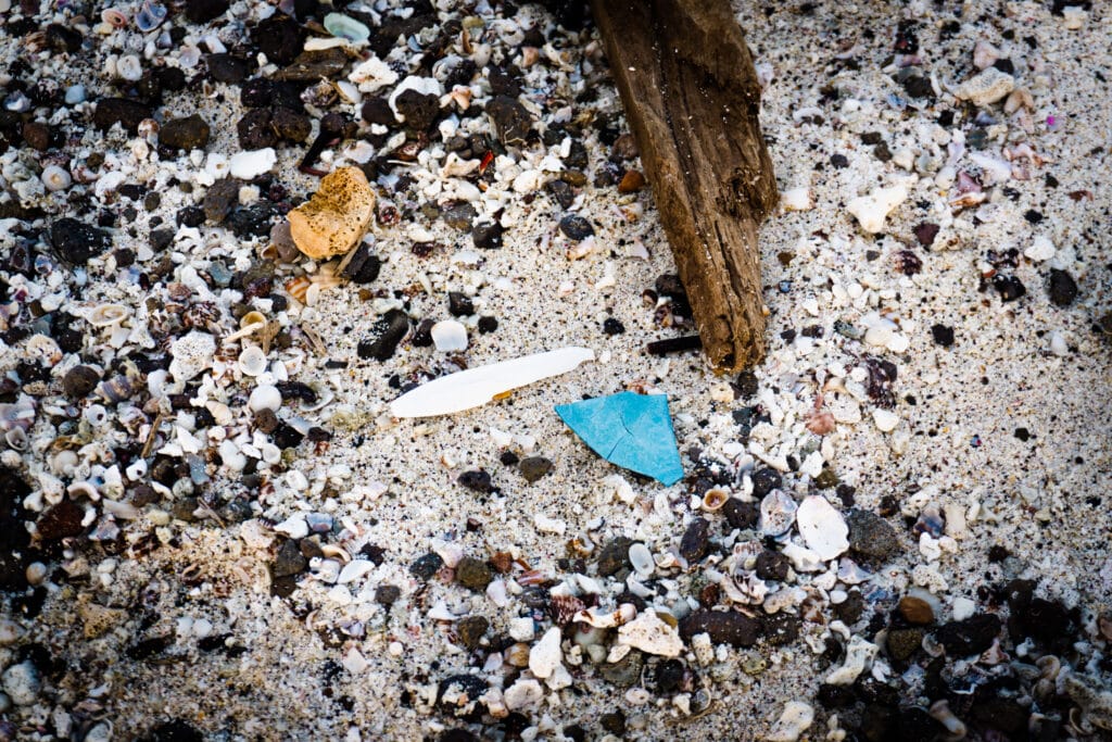 Waste found on the Galapagos Island. Photo: Jennifer Zollo