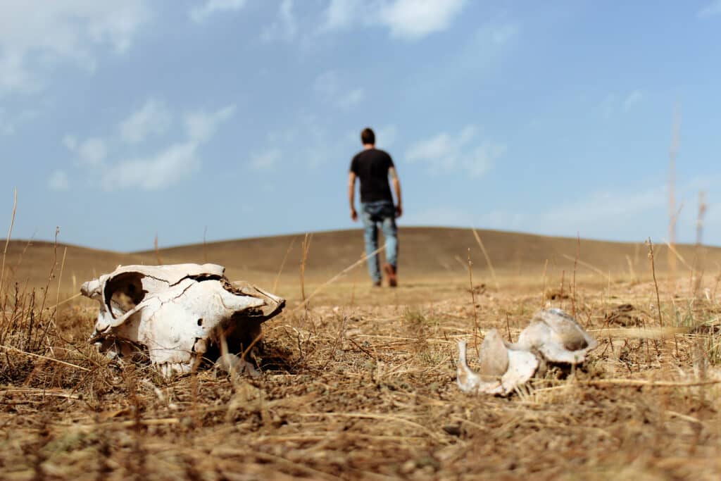 Mongolian outback means true isolation.  Author walking in the desert with skulls of animals in the background.Photo: Thomas Später