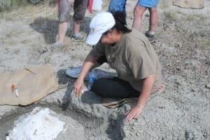 Tonya chipping away at a plaster cast of a dinosaur fossil. Photo: Ian Fitzpatrick