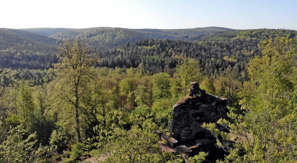 Remainings-of-the-old-Beilstein-Castle-watching-over-the-Palatinate-Forest.  Photo:  Thomas Später 