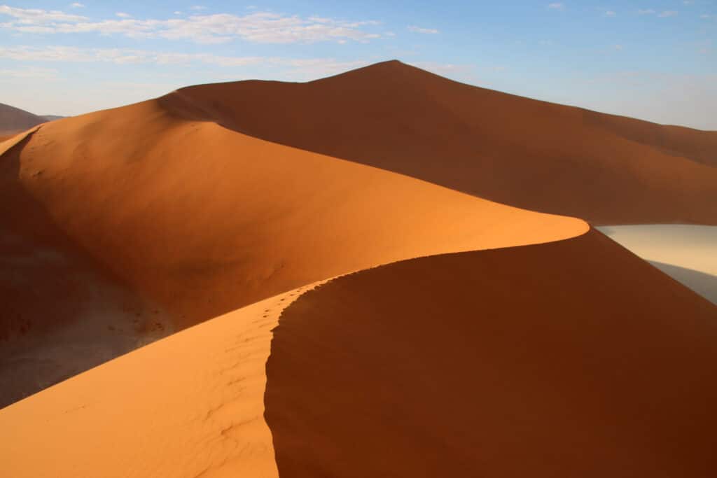 Sand dune wriggling its way up to “Big Daddy Dune”. Photo: Thomas Später 