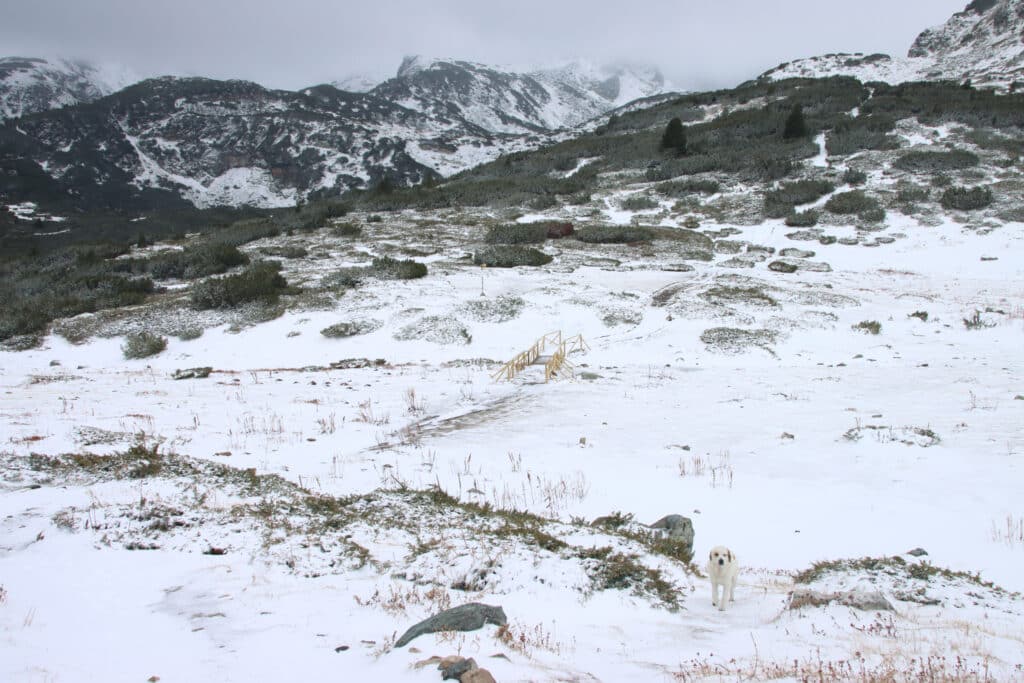Snow covered grounds of Seven Rila Lakes trail made it hard to identify the direction of the paths. Photo: Thomas Später