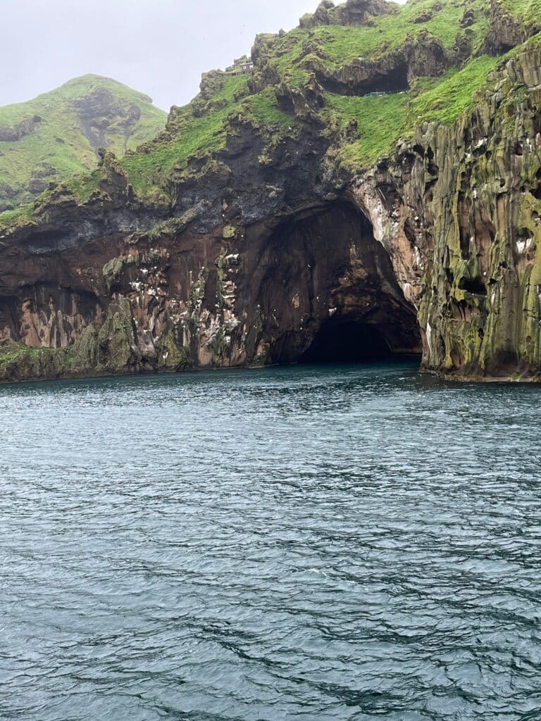 Caves are home to large puffin colonies. Photo: Kirsten Harrington