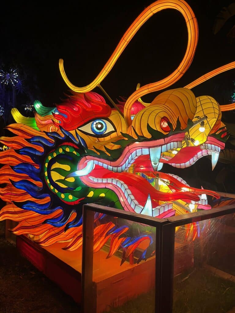 Dragon head lantern on display. Photo: Kirsten Harrington