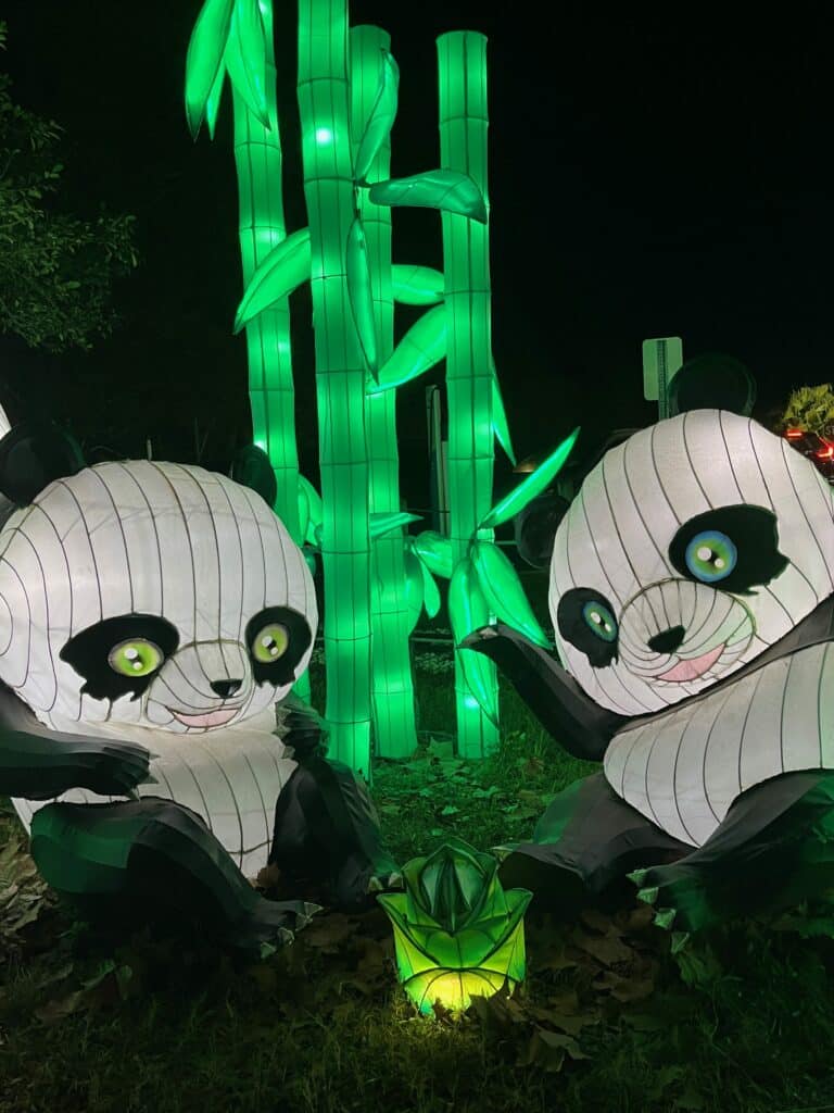 Pandas, a symbol of peace and friendship. Photo: Kirsten Harrington