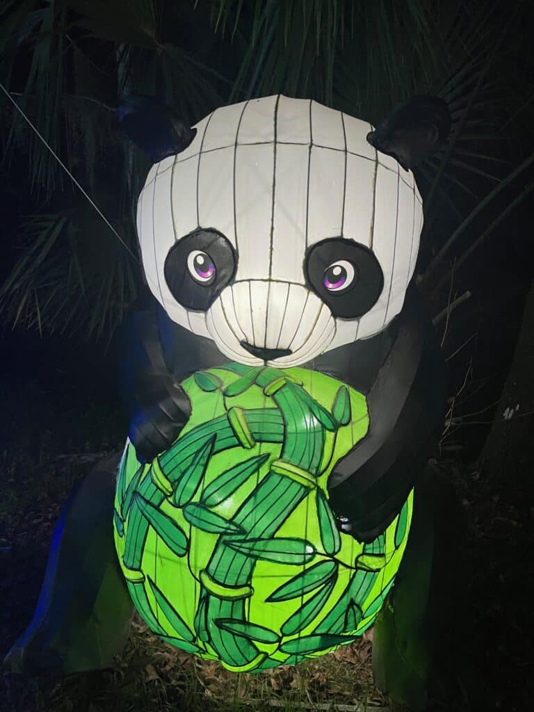 Pandas subsist mainly on bamboo. Photo: Kirsten Harrington