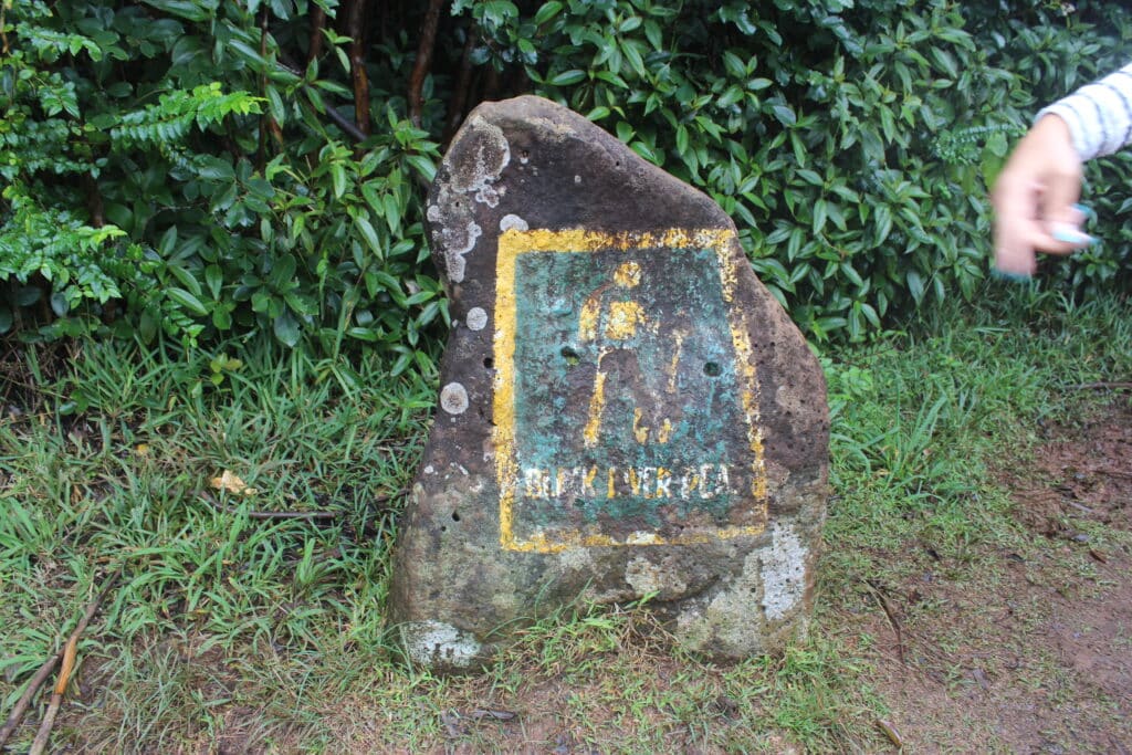 A small stone on the side of the road indicates the entrance and beginning of the Black River Peak Trail